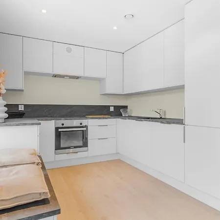 New! Huge Modern Apartment! Fit For Two Families! Apartment