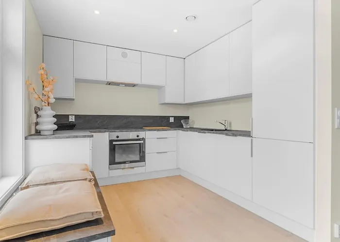 New! Huge Modern Apartment! Fit For Two Families! Apartment